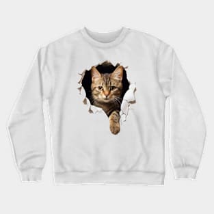 Cathole! (just an expression) Crewneck Sweatshirt